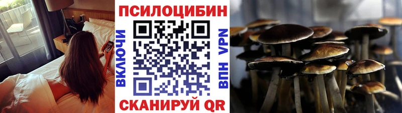 магазин    Кузнецк  Псилоцибиновые грибы Magic Shrooms 